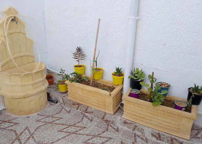 Appartement Chebbi